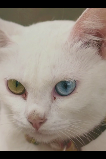 vlcsnap-2025-02-19-01h09m30s518