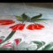 Ebru (Water Marbling)