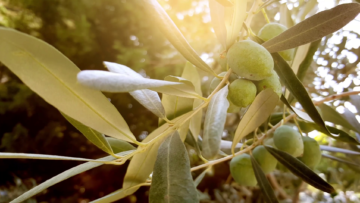 vlcsnap-2025-03-15-23h57m06s060