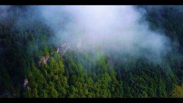 vlcsnap-2025-04-02-20h35m57s079